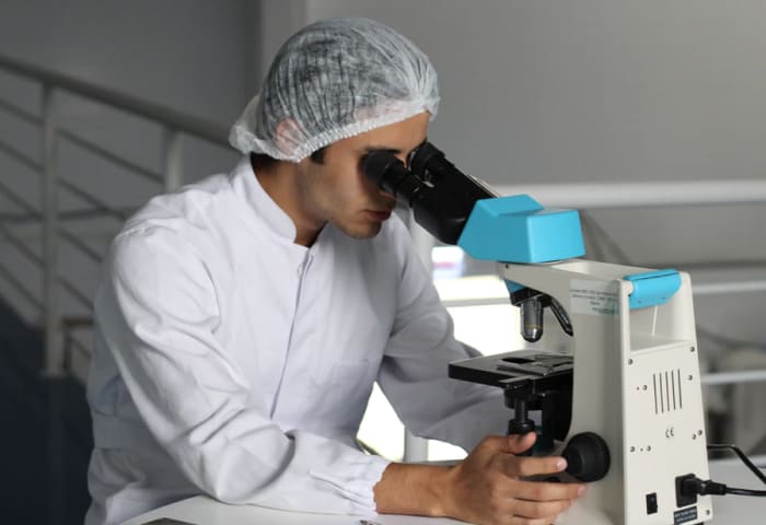 Herbal medicines that are safe for consumption Herbal medicines that are safe for consumption